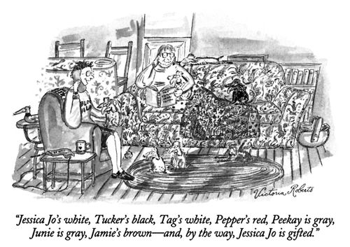 "Jessica Jo's white, Tucker's black, Tag's white, Pepper's red, Peekay is gray, Junie is gray, Jamie's brown – and, by the way, Jessica Jo is gifted."
