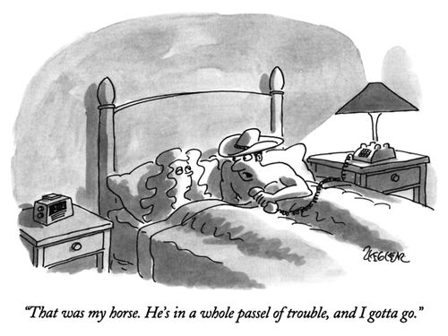"That was my horse. He's in a whole passel of trouble, and I gotta go."