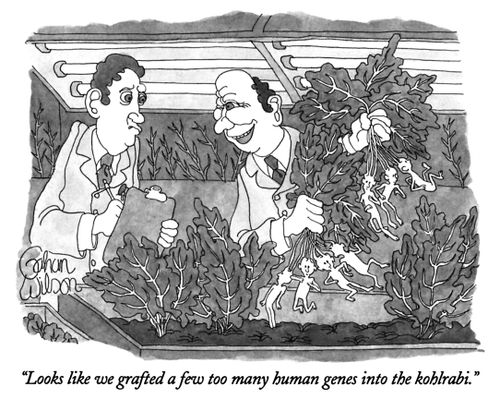 "Looks like we grafted a few too many human genes into the kohlrabi."