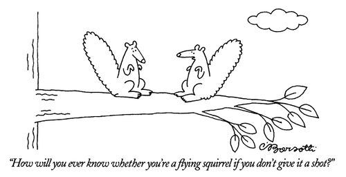"How will you ever know whether you're a flying squirrel if you don't give it a shot?"