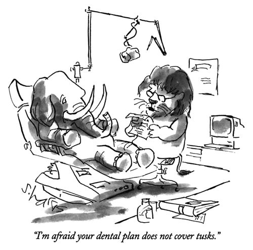 "I'm afraid your dental plan does not cover tusks."