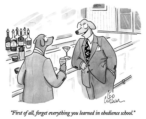 "First of all, forget everything you learned in obedience school."