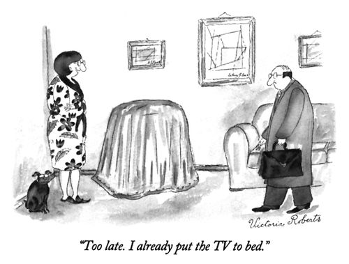 "Too late. I already put the TV to bed."