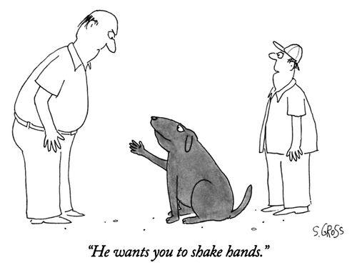 "He wants you to shake hands."