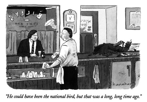 "He could have been the national bird, but that was a long, long time ago."