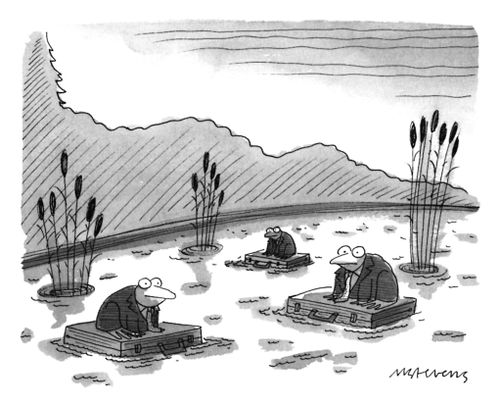 Frogs wearing business suits sit perched on floating briefcases in a pond. 