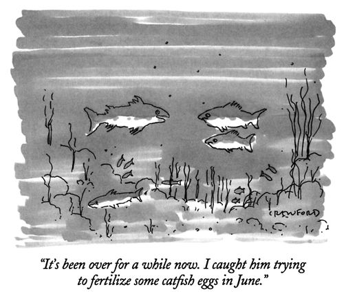 "It's been over for a while now. I caught him trying to fertilize some catfish eggs in June."