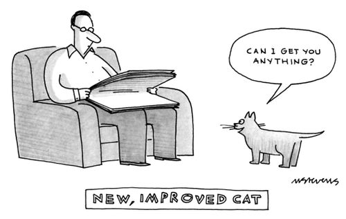 New, Improved Cat