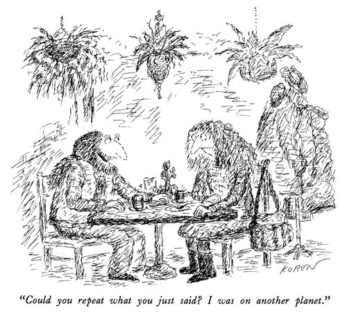 "Could you repeat what you just said? I was on another planet."