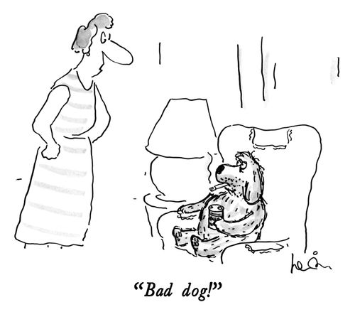 "Bad dog!"