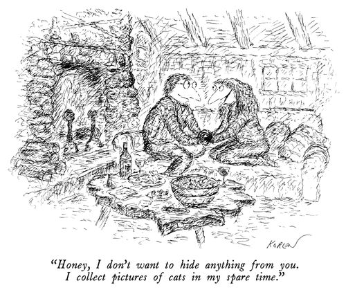 "Honey, I don't want to hide anything from you. I collect pictures of cats in my spare time."