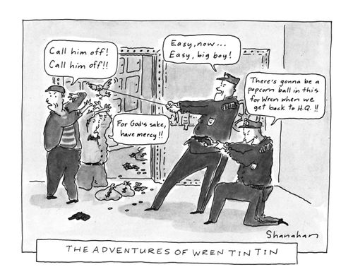 The Adventures of Wren Tin Tin
