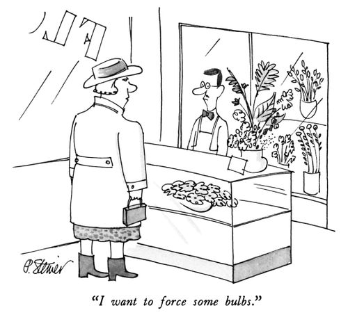 "I want to force some bulbs."