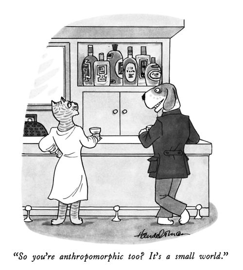 "So you're anthropomorphic too? It's a small world."