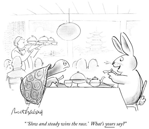 "'Slow and steady wins the race.' What's yours say?"