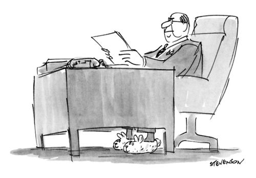 Executive wearing fluffy rabbit slippers.
