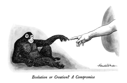 Evolution or Creation? A Compromise 