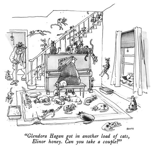 "Glendora Hagan got in another load of cats, Elinor honey. Can you take a couple?"