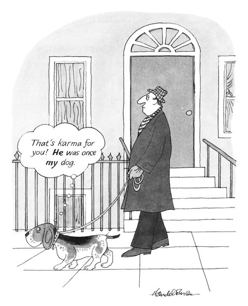 "That's karma for you! He was once my dog."