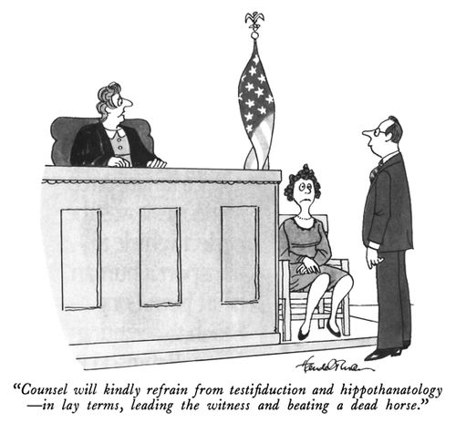 "Counsel will kindly refrain from testifiduction and hippothanatology – in lay terms, leading the witness and beating a dead horse."