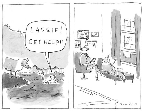 "Lassie! Get help!!"
