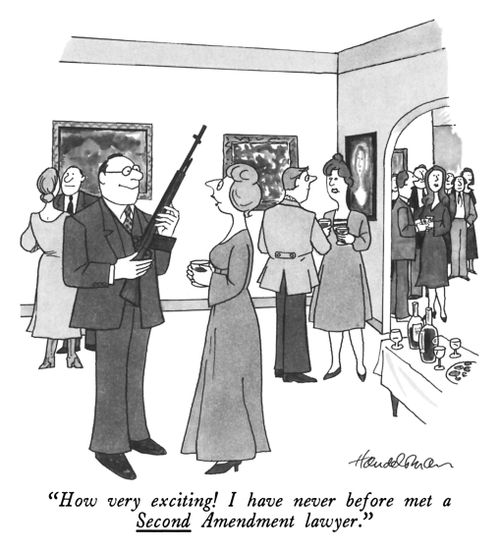 "How very exciting! I have never before met a Second Amendment lawyer."