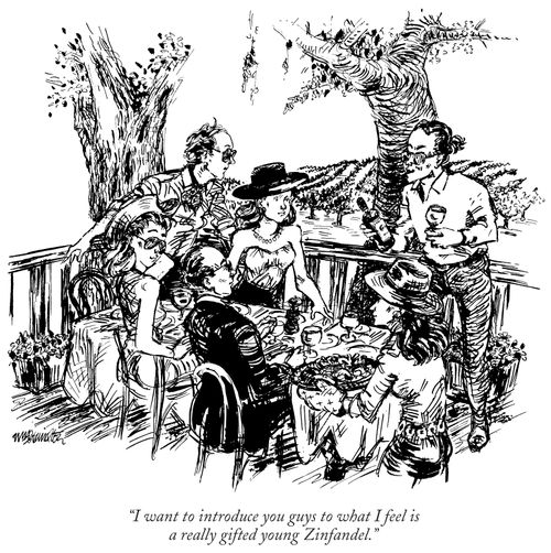 "I want to introduce you guys to what I feel is a really gifted young Zinfandel."