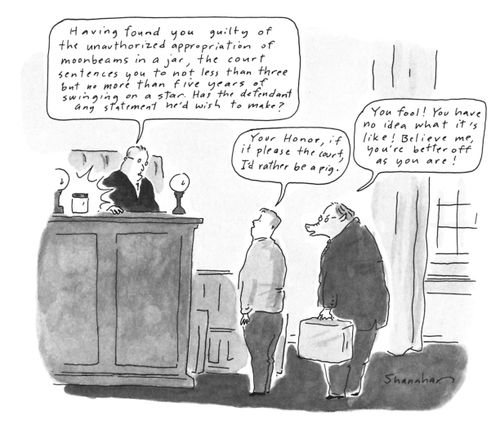 "Having found you guilty of unauthorized appropriation of moonbeams in a jar, the court sentences you to not less than three but no more than five years of swinging on a star."