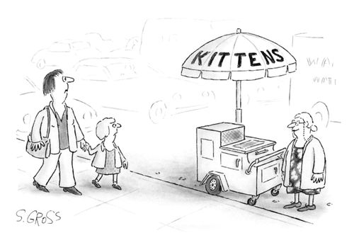 Kittens