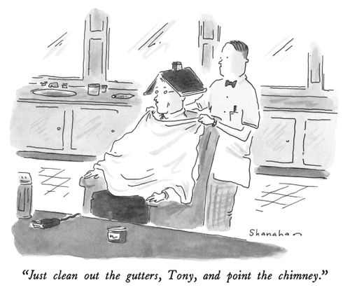 "Just clean out the gutters, Tony, and point the chimney."