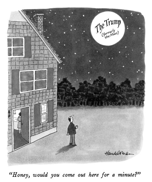"Honey, would you come out here for a minute?"