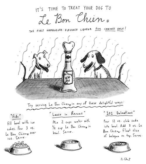 It's time to treat your dog to Le Bon Chien.