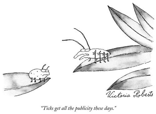 "Ticks get all the publicity these days."
