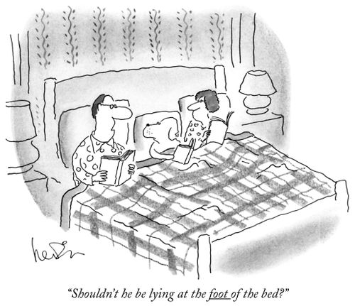 "Shouldn't he be lying at the foot of the bed?"