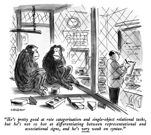 "He's pretty good at rote categorization and single-object relational tasks, but he's not so hot at differentiating between representational and associational signs, and he's very weak on syntax."