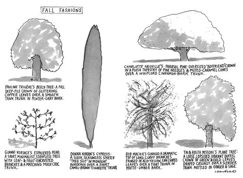 Fall fashions