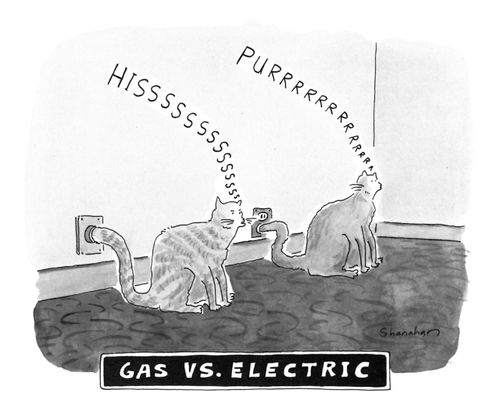 Gas Vs. Electric