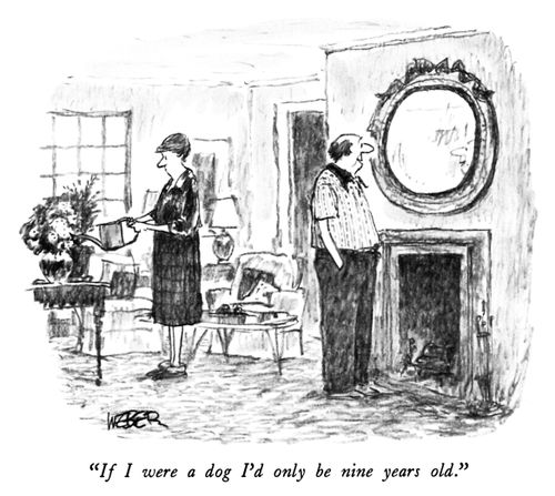 "If I were a dog I'd only be nine years old."