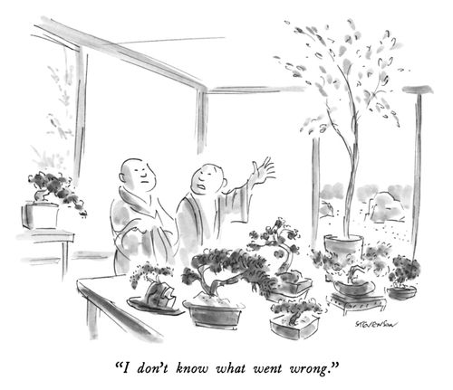 "I don't know what went wrong."