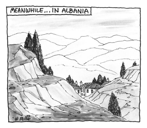 Meanwhile...in Albania