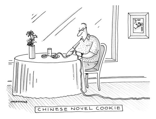 Chinese Novel Cookie