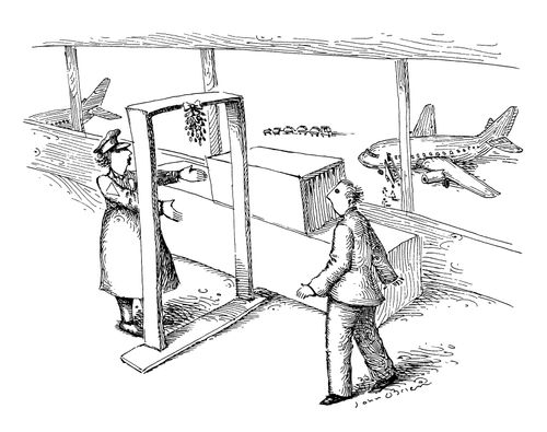 A metal detector with mistletoe 