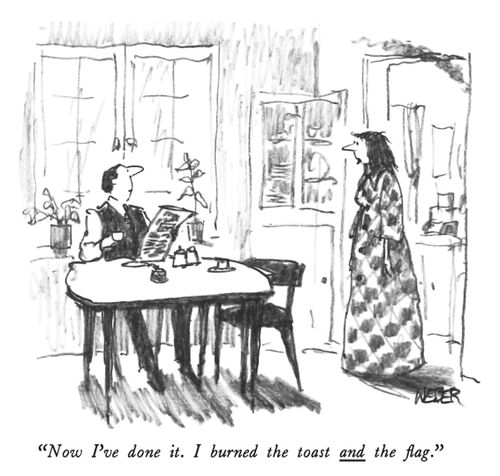 "Now I've done it. I burned the toast AND the flag."
