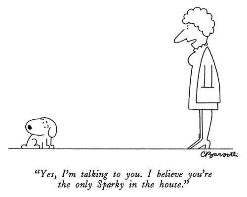 "Yes, I'm talking to you. I believe you're the only Sparky in the house."
