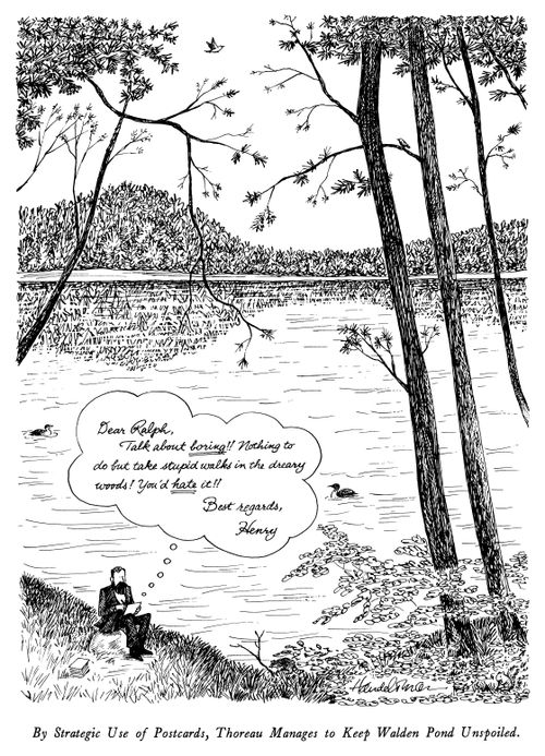 By Strategic Use of Postcards, Thoreau Manages to Keep Walden Pond Unspoiled