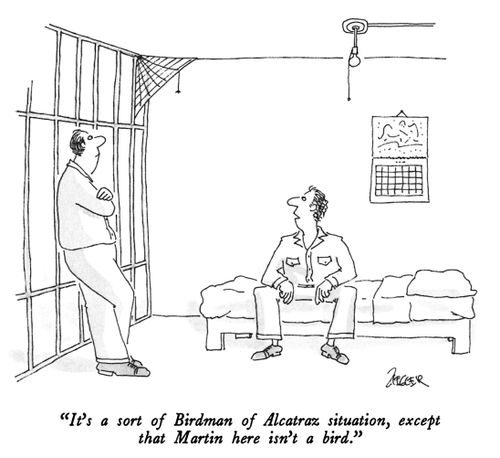 "It's a sort of Birdman of Alcatraz situation, except that Martin here isn't a bird."