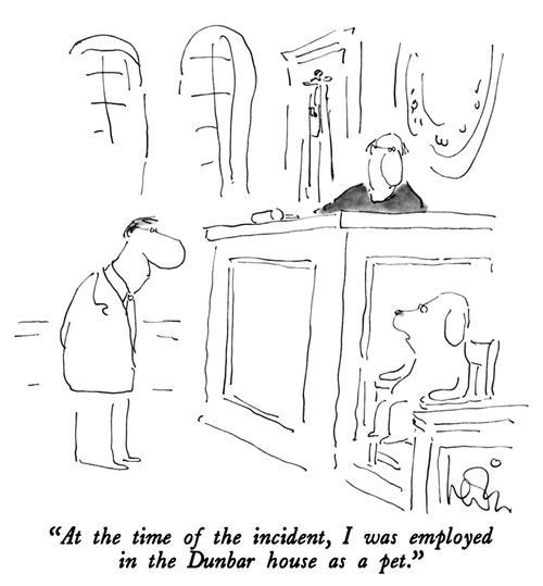 "At the time of the incident, I was employed in the Dunbar house as a pet."