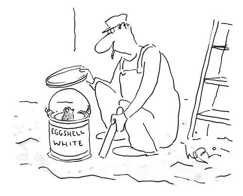 Eggshell White