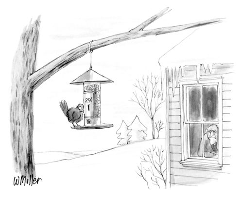 Expensive Bird Feeder