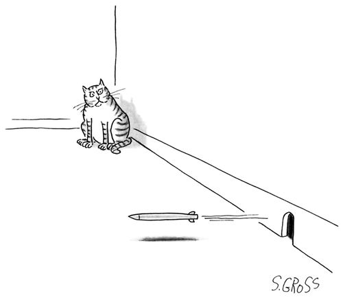 Cat Annoyed At Mice Developing The Modern Ballistic Missile
